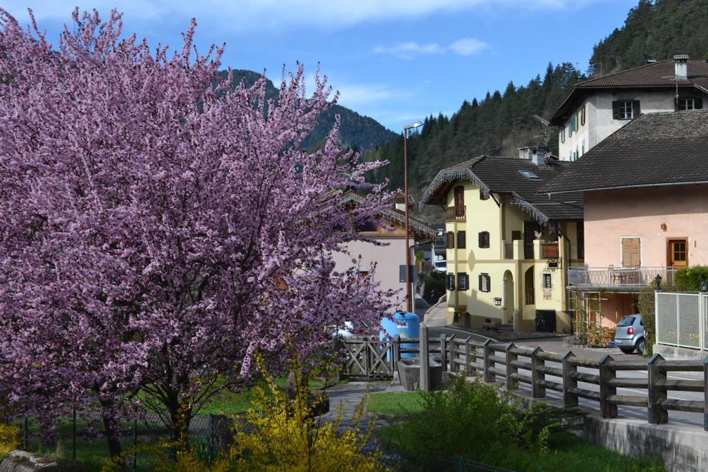 B&B La Tana Dell'Orso - Die Baerenhoehle Castello-Molina di Fiemme Dış mekan fotoğraf
