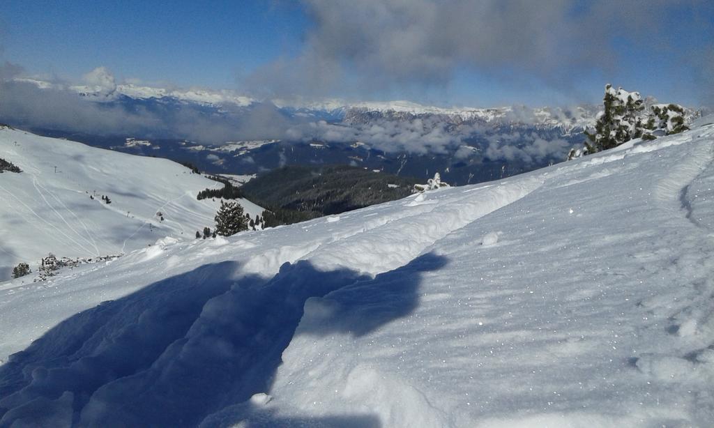 B&B La Tana Dell'Orso - Die Baerenhoehle Castello-Molina di Fiemme Dış mekan fotoğraf